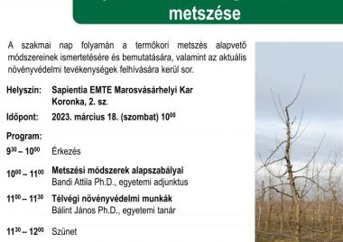 Gyümölcsfák télvégi fenntartó metszése - bemutató 2023