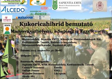 Kukoricahibrid bemutató