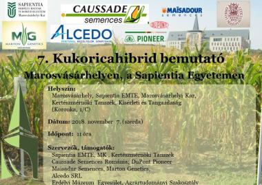 7. Kukoricanap a Sapientia Egyetemen
