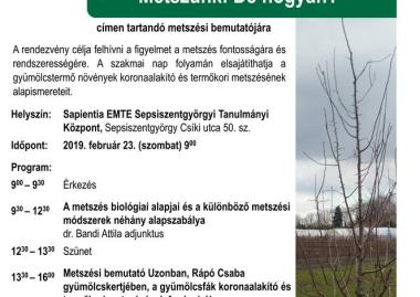 Metszünk! De hogyan?