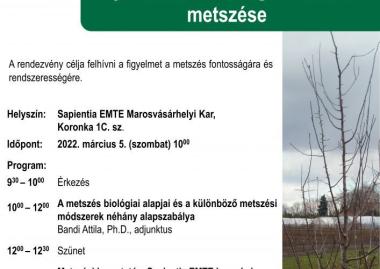 Gyümölcsfák télvégi fenntartó metszése bemutató