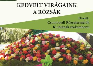 Kedvelt virágaink a rózsák