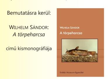 Wilhelm Sándor: A törpeharcsa