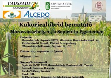 Kukoricahibrid bemutató