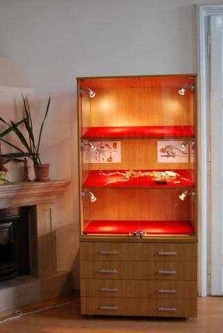 Balaur Bondoc - Zömök Sárkány kiállítás 