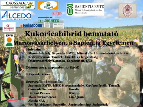 Kukoricahibrid bemutató