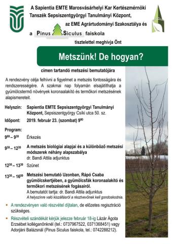 Metszünk! De hogyan?