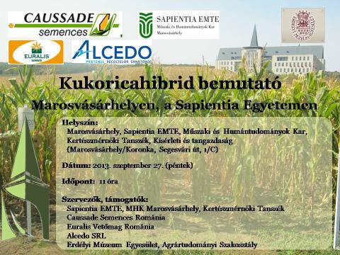 Kukoricahibrid bemutató